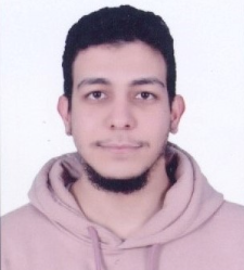 Mr. Mahmoud Elsaid